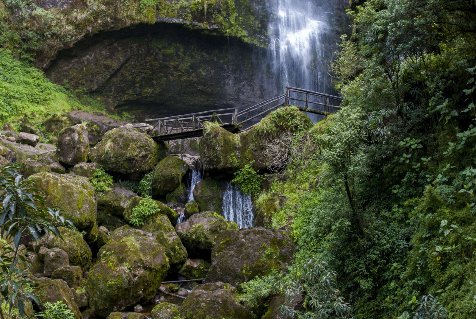 Nikon D60 sample photo. Nature, waterfall, body of photography