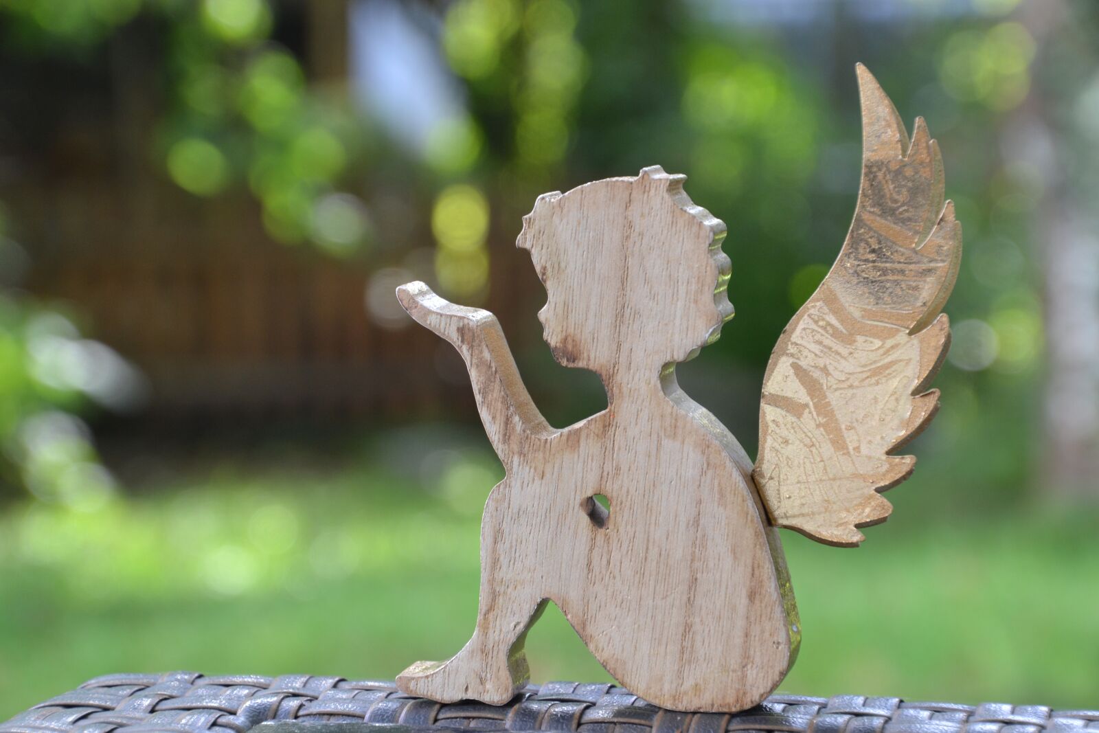 Nikon D3100 sample photo. Angel, wing, love photography