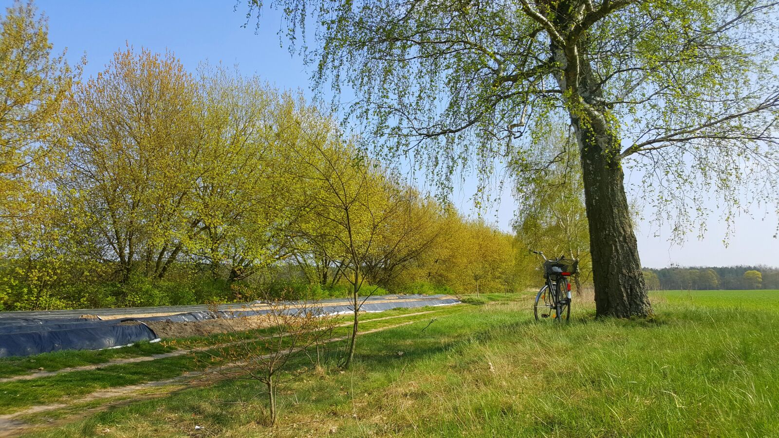 Samsung Galaxy S6 sample photo. Nature, landscape, bike photography