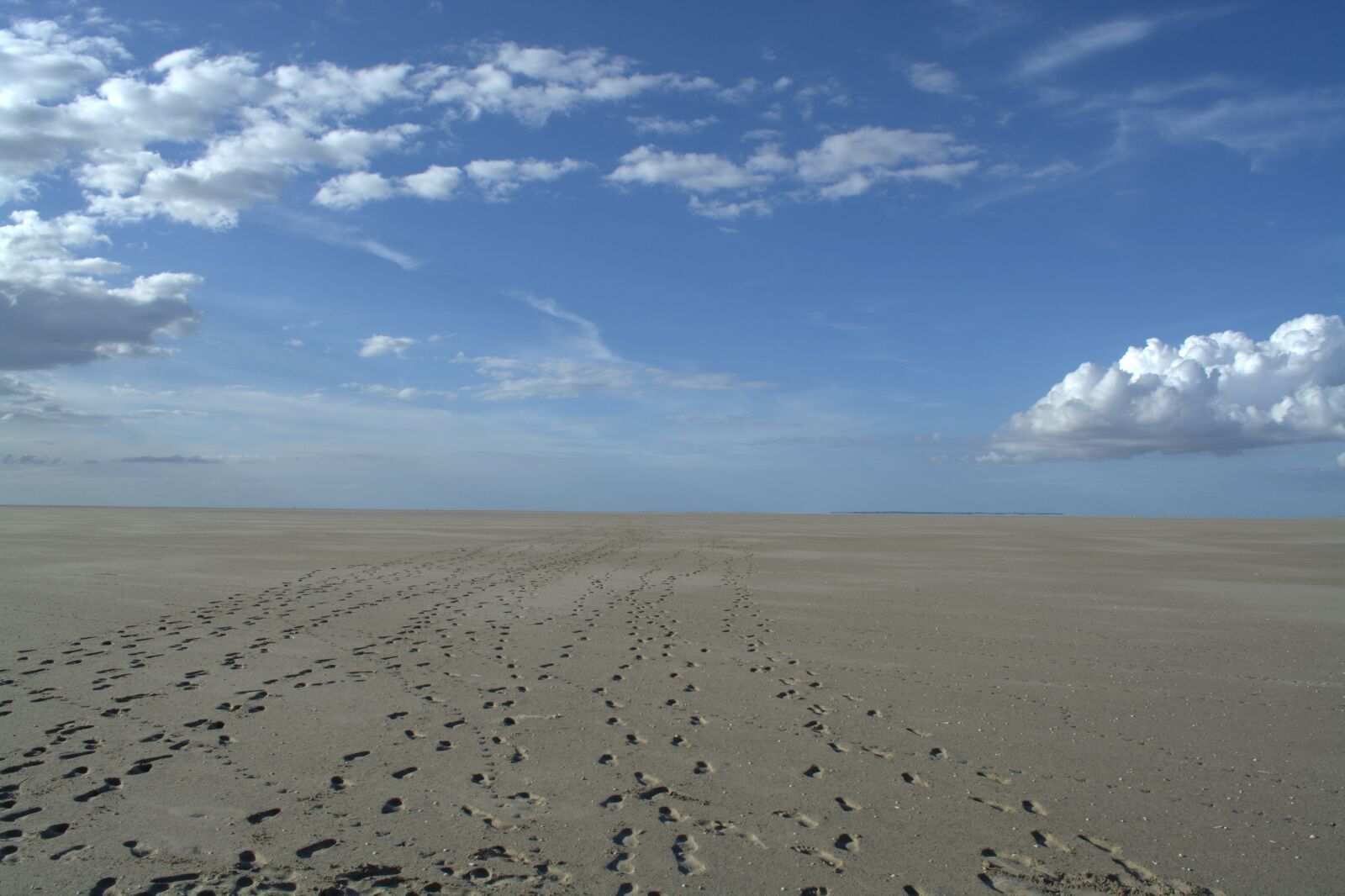 Nikon D5200 sample photo. Norderoogsand, sandbar, nature protection photography
