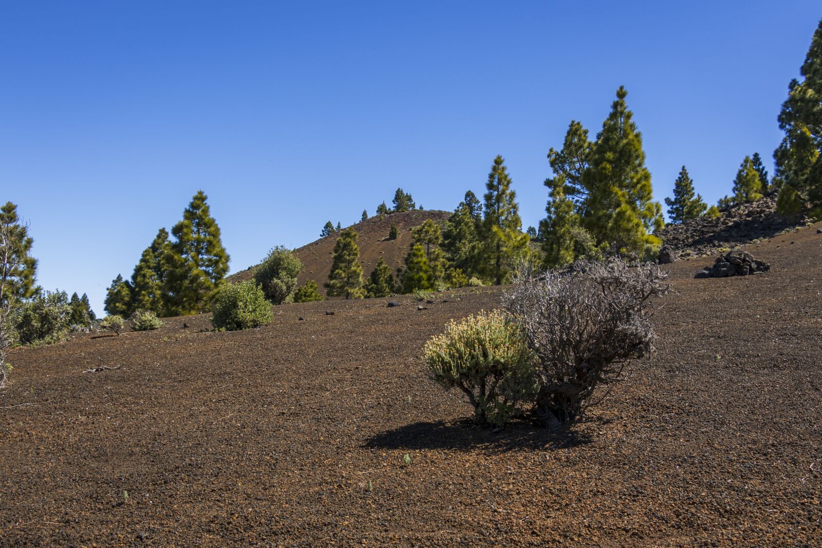 Canon EOS 70D sample photo. Volcano, canary islands, volcanic photography