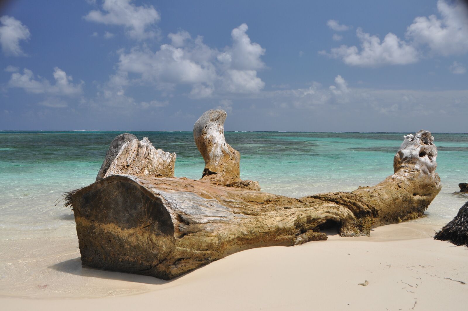 Nikon D5000 sample photo. Beach, wooden, sea photography