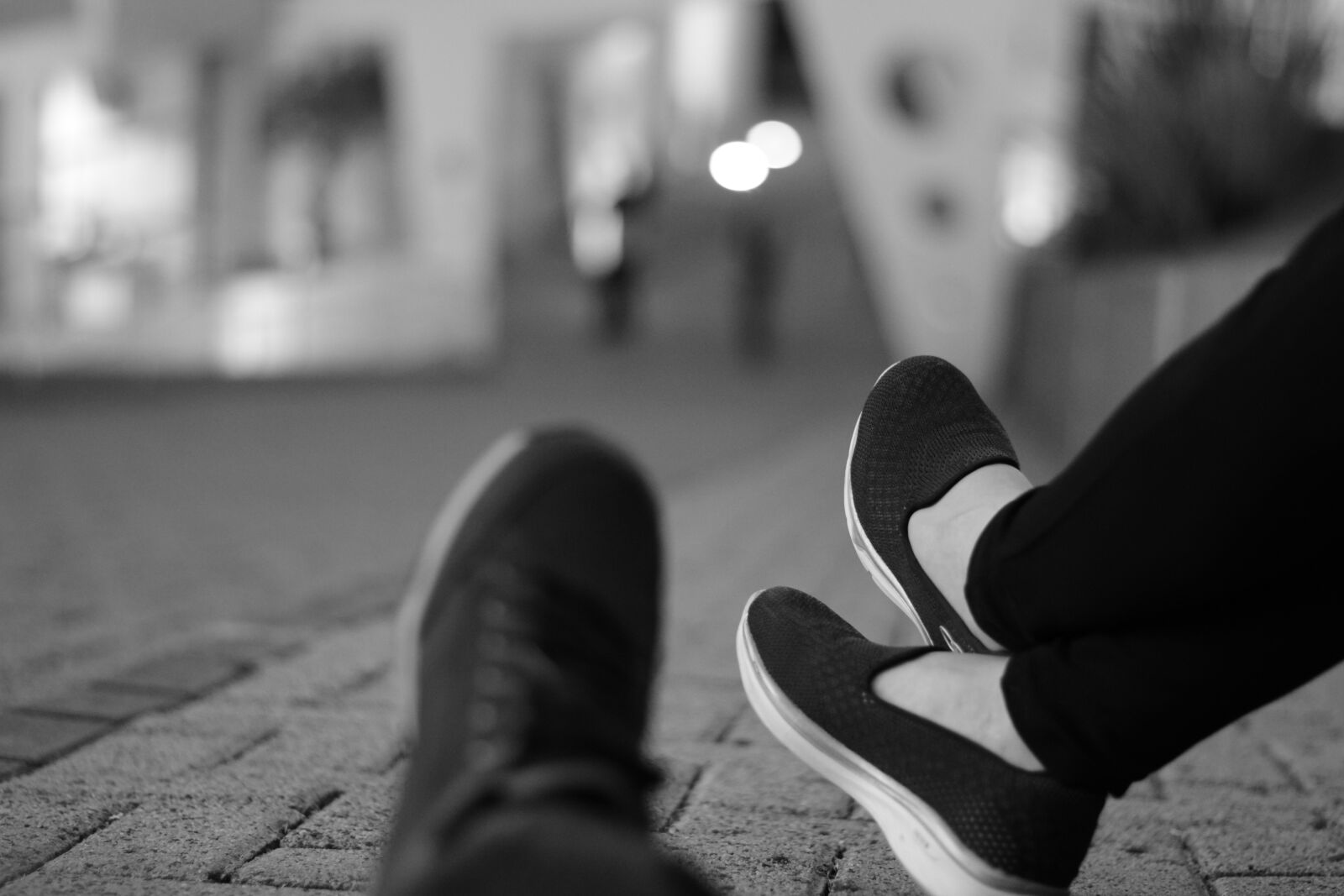 Nikon D5300 sample photo. Pes, leisure, des photography