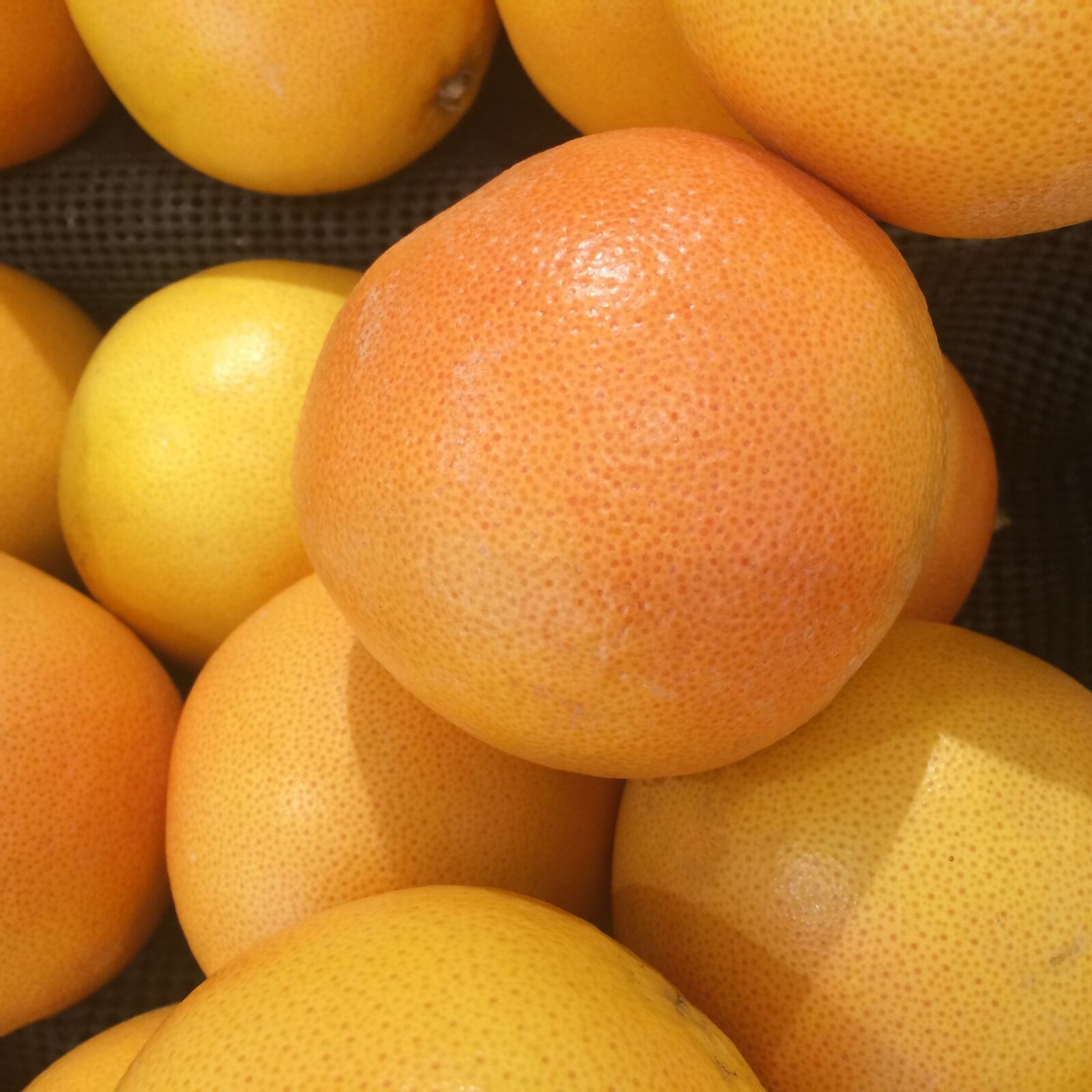iPhone 5s back camera 4.15mm f/2.2 sample photo. Grapefruit, import, california photography