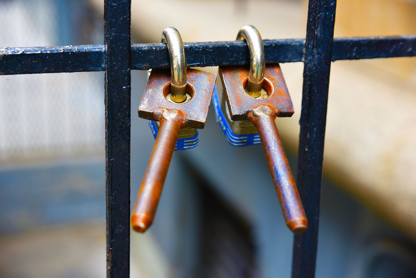 Nikon D750 sample photo. Iron, old, lock photography