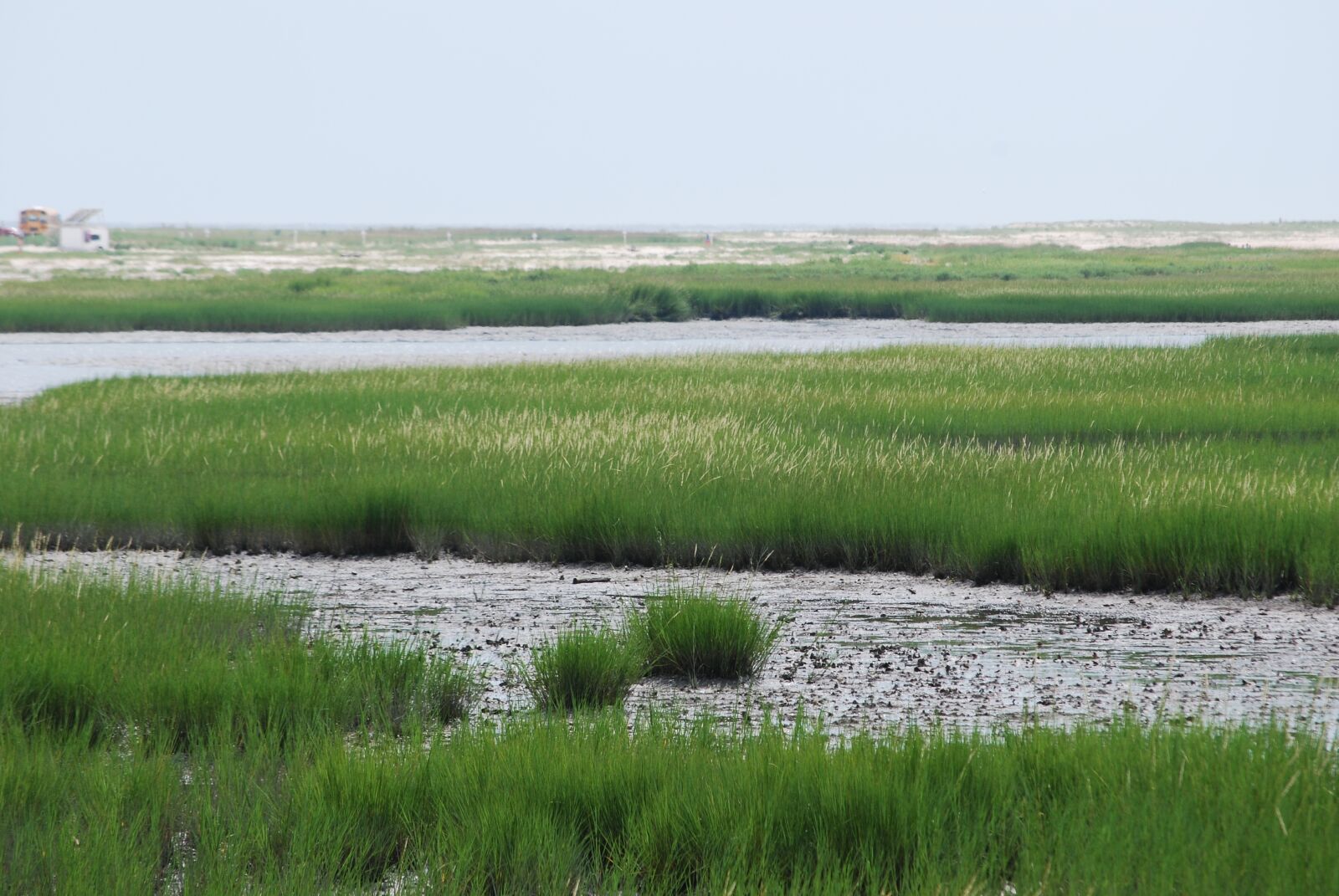 Nikon D60 sample photo. Marsh, bay, grasses photography