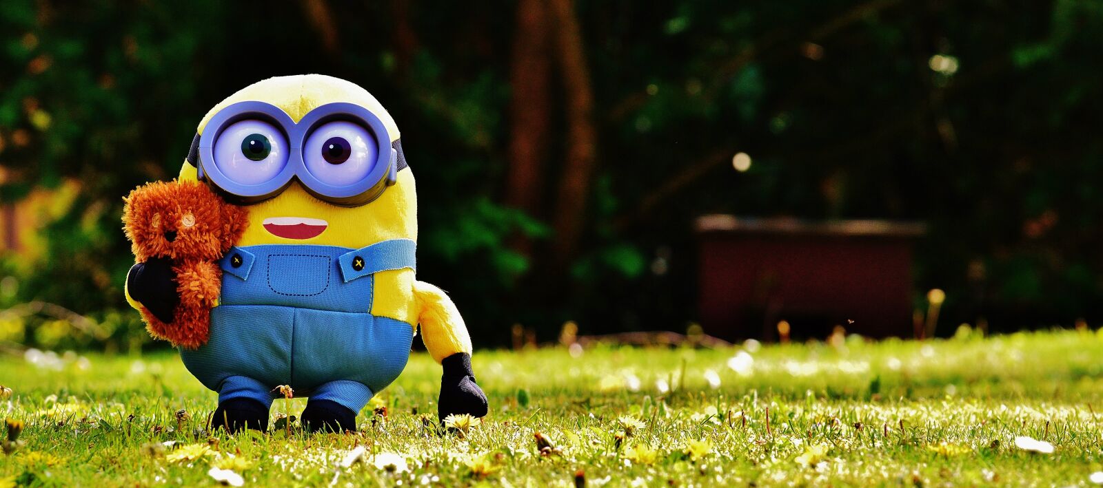 Nikon D3200 sample photo. Minion, funny, figure photography