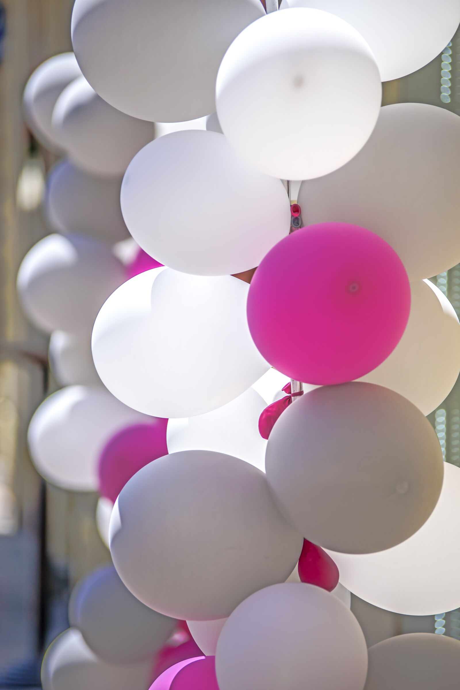 Nikon D750 sample photo. Colorful balloons, festival, fair photography
