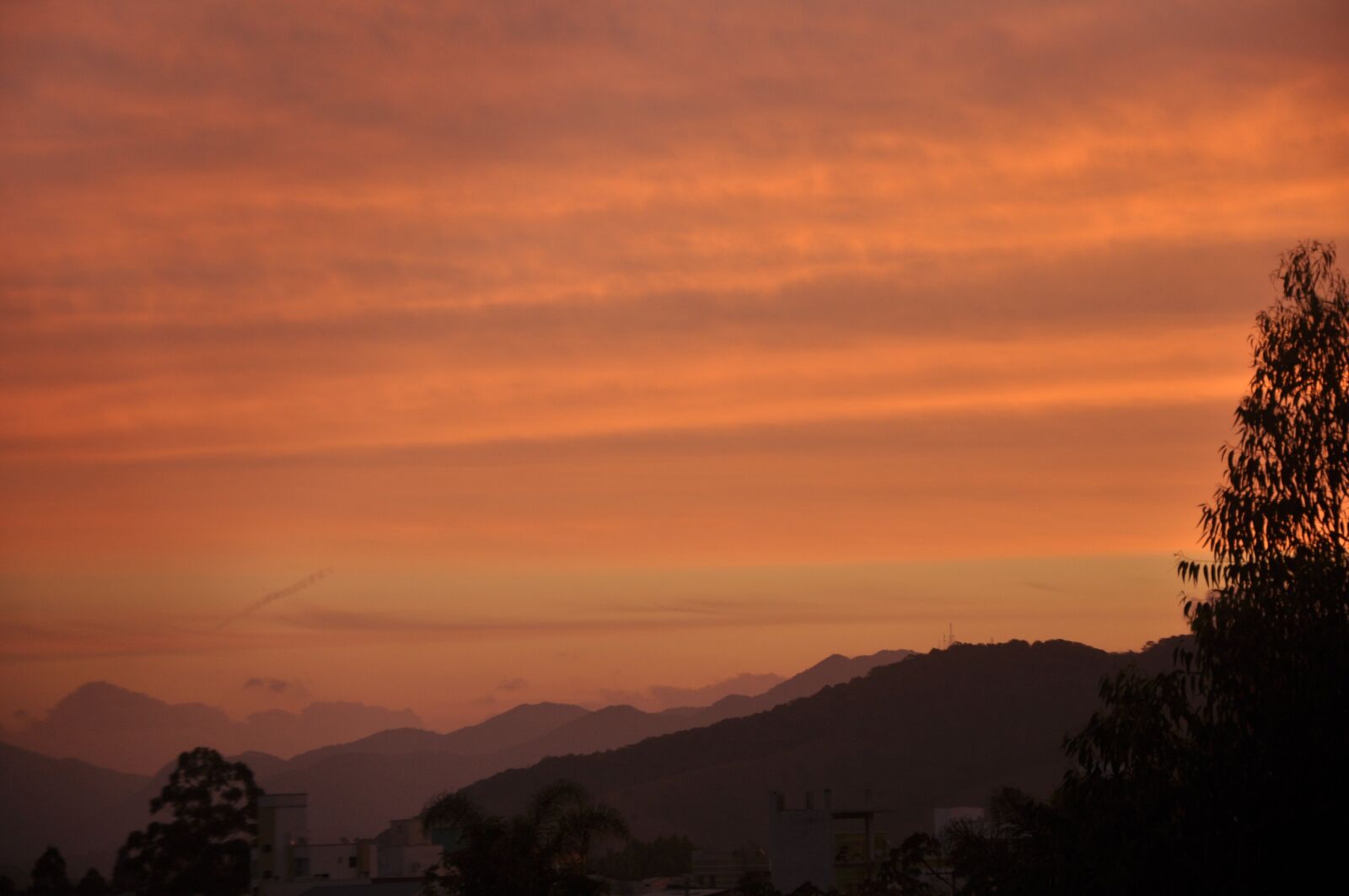 Nikon D90 sample photo. Sky, golden hour, orange photography