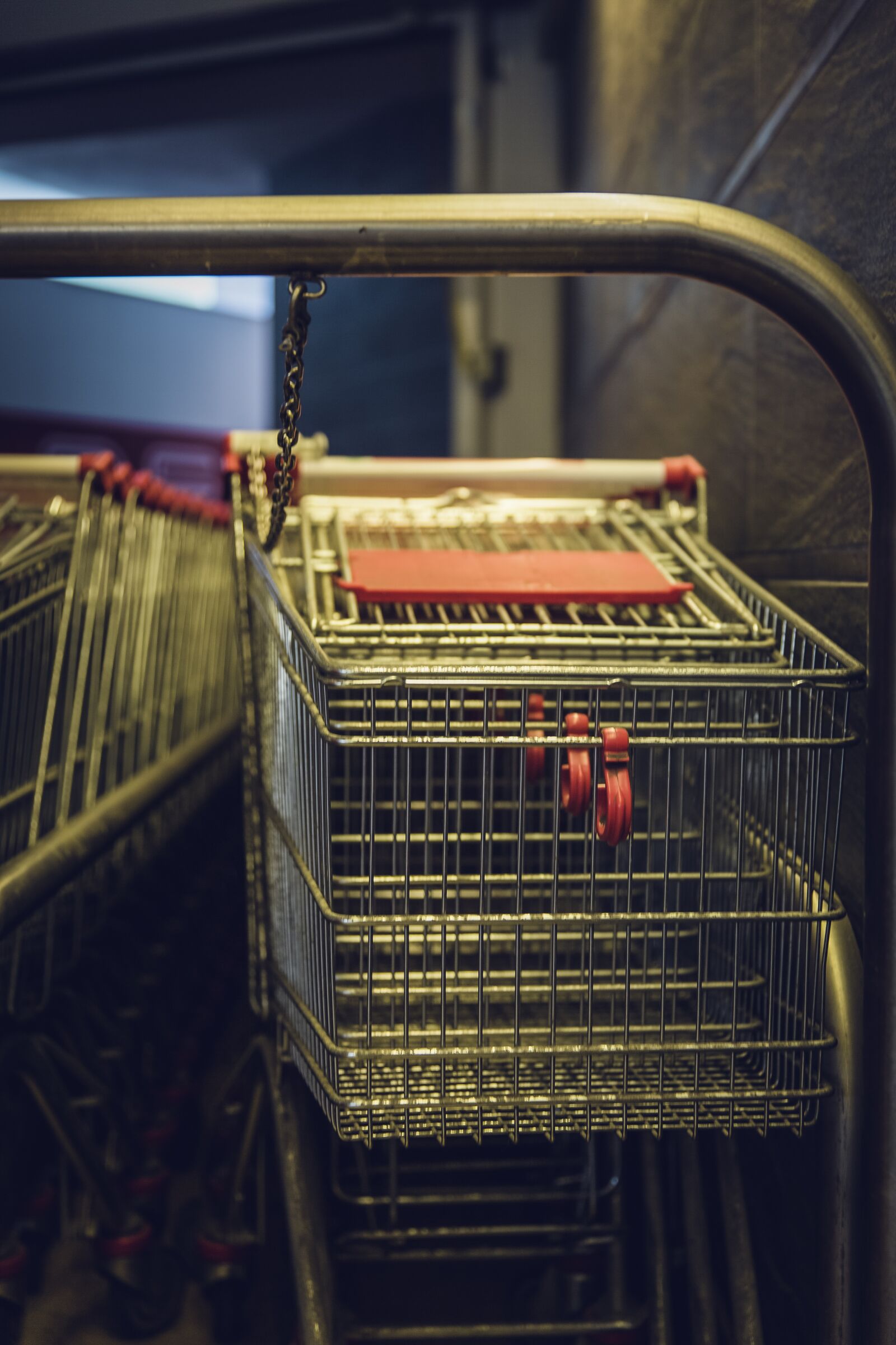 Canon EF 24-70mm F2.8L II USM sample photo. Shopping, dare, shopping cart photography