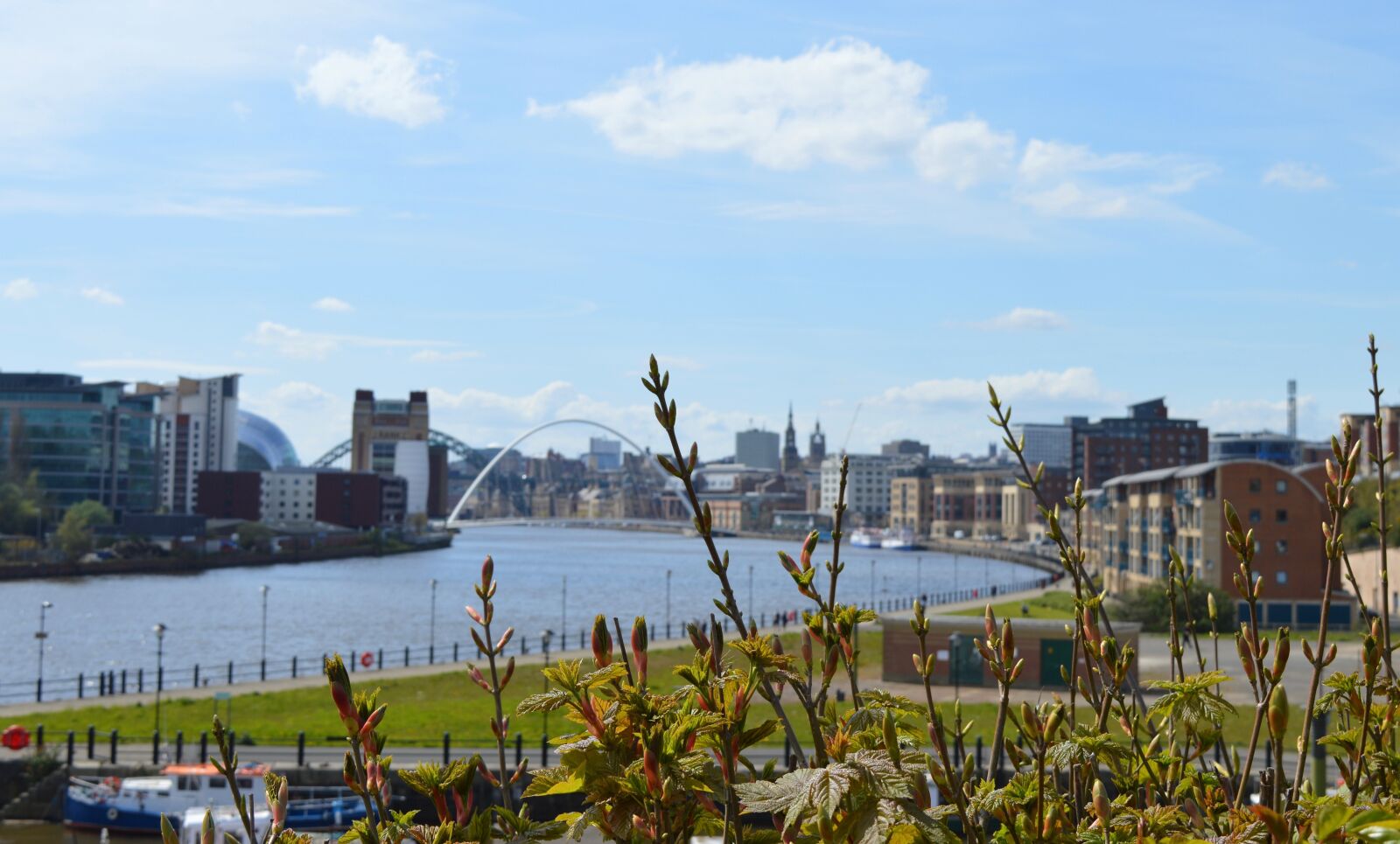 Nikon D3200 sample photo. Newcastle, newcastle upon tyne photography