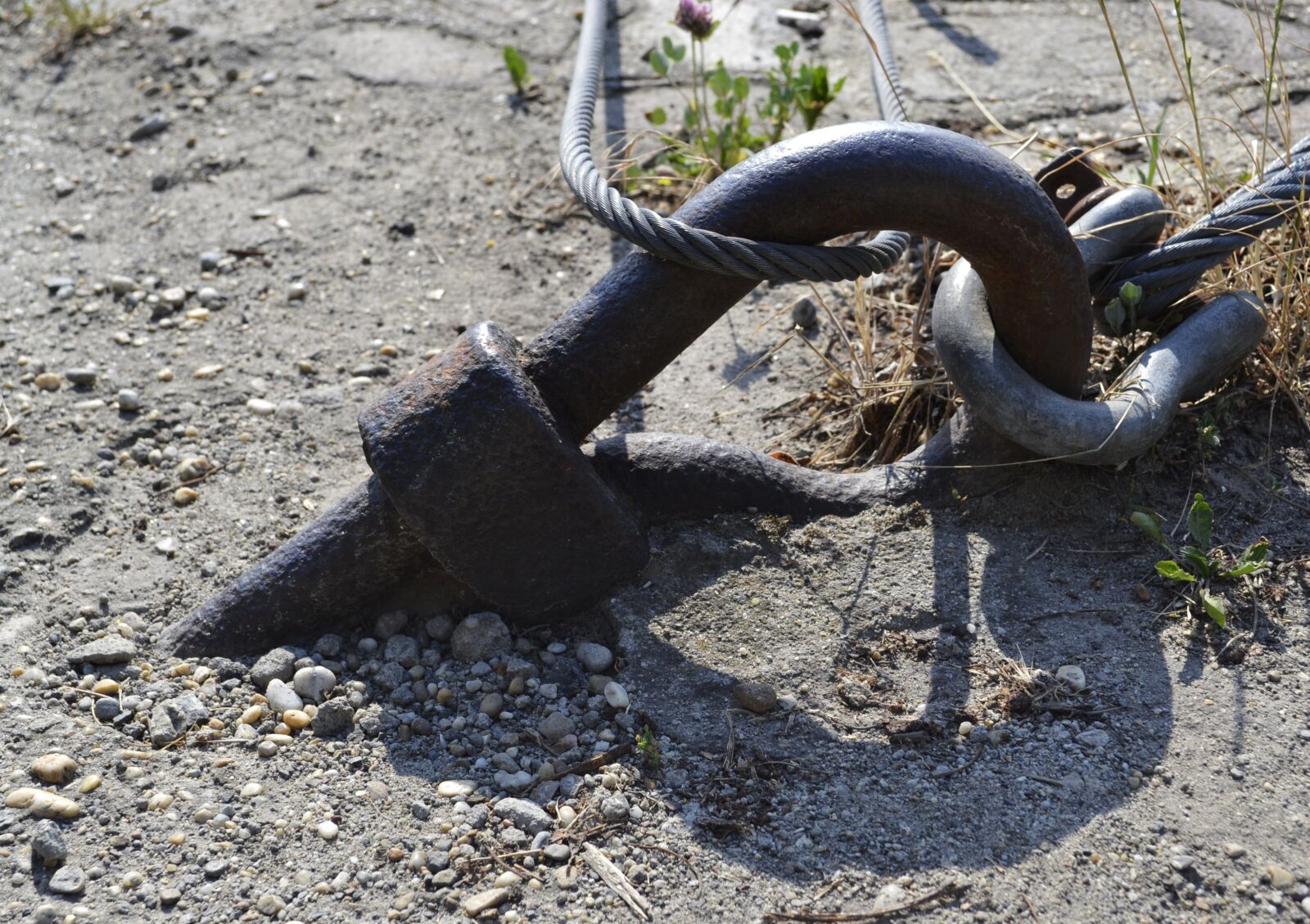 Nikon D3100 sample photo. Wire rope, iron, clamp photography