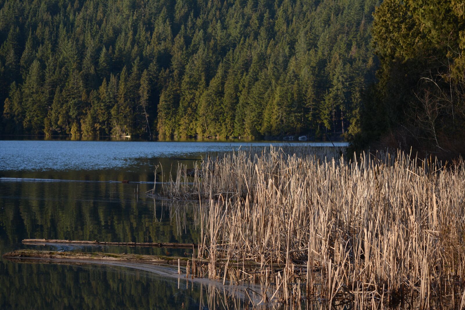 Nikon D5200 sample photo. Lake, reflection, dawn photography
