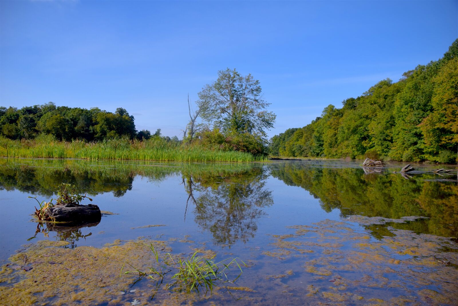 Nikon D3300 sample photo. Lake, sky, landscape photography