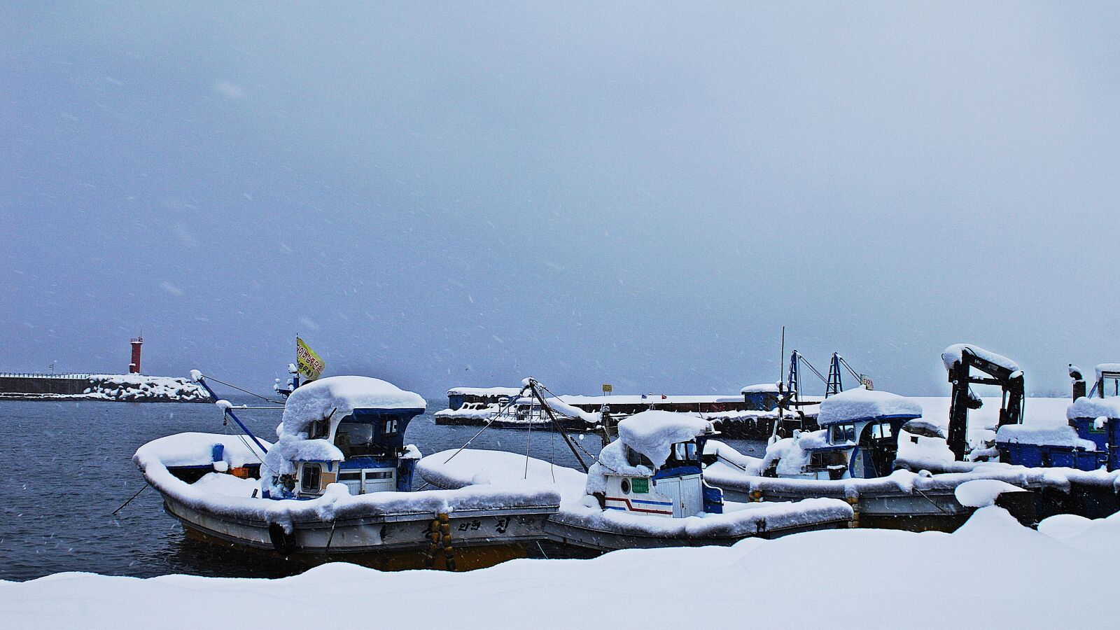 Nikon D2Xs sample photo. Snow, gangneung, between the photography