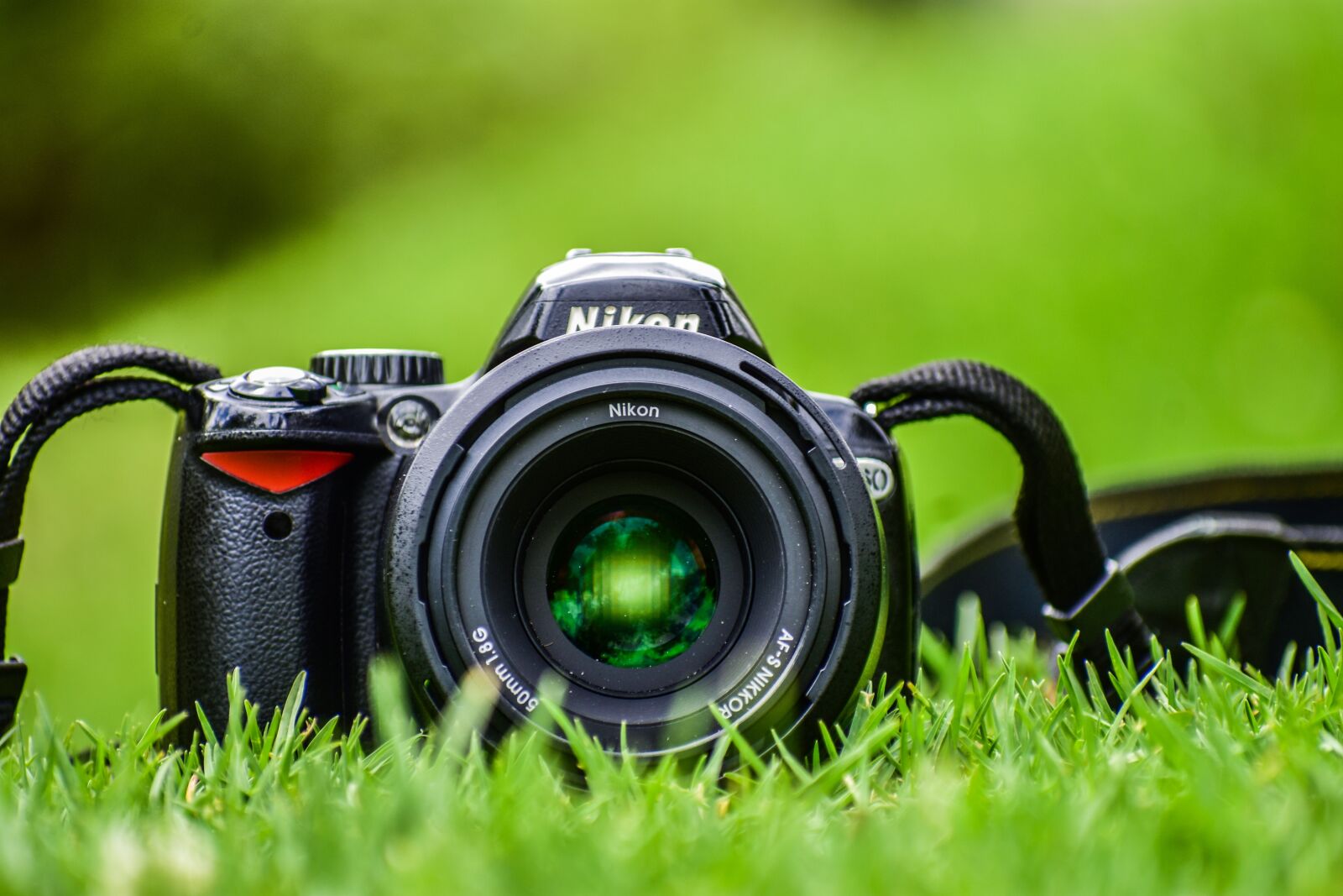 Nikon D3400 sample photo. Camera, grass, lens photography