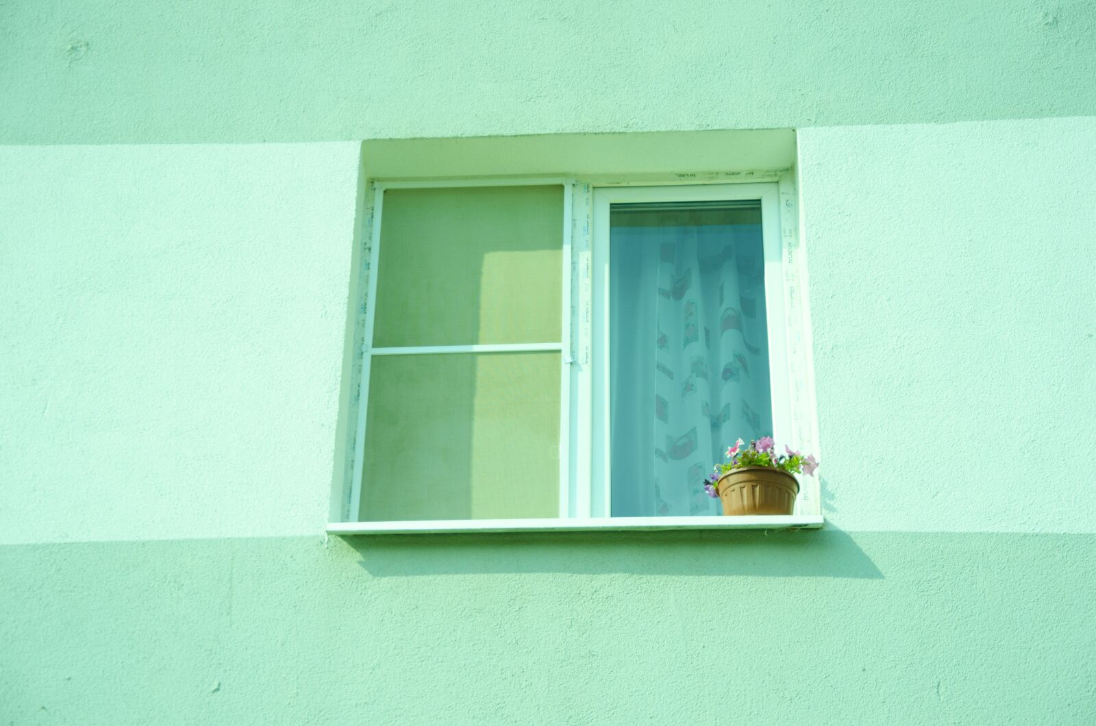 Nikon D7000 sample photo. Window, building, ledge photography