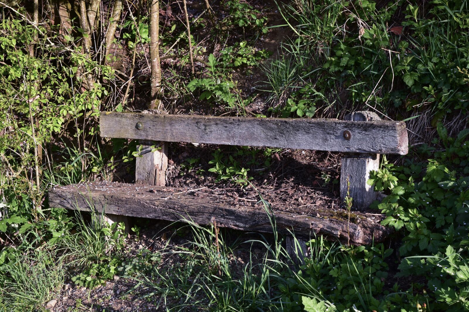 Nikon D7200 sample photo. Park, bank, rest photography