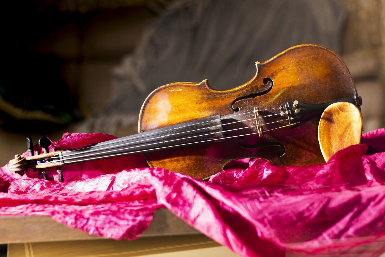 Canon EOS 700D (EOS Rebel T5i / EOS Kiss X7i) sample photo. Violin, purple, cover photography