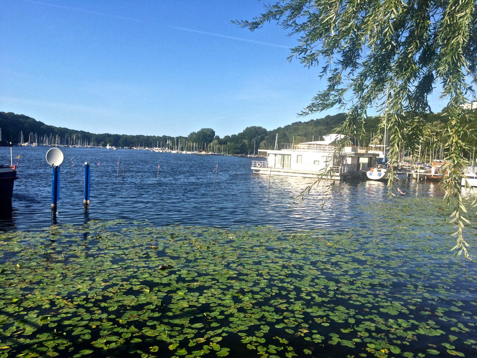 iPhone 5s back camera 4.15mm f/2.2 sample photo. Sommer, erhohlung, wasser, berlin photography