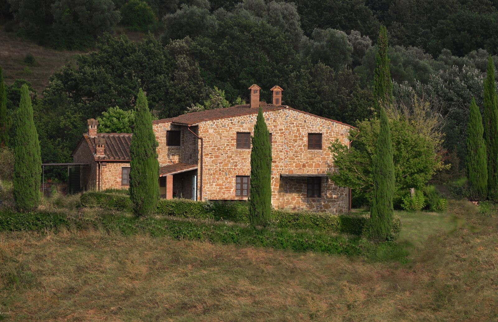 Nikon D750 sample photo. Italy, toscana, green photography