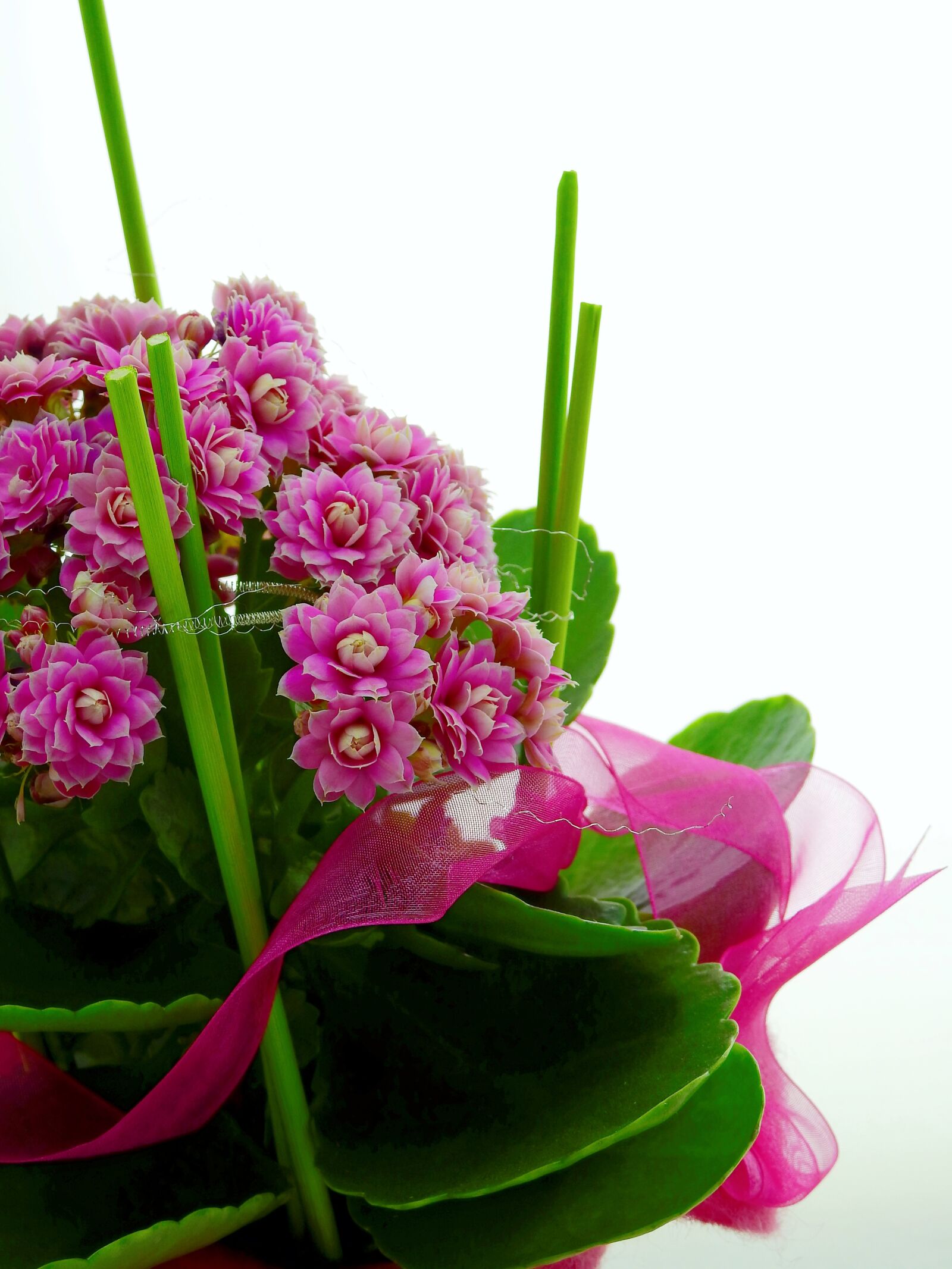 Nikon Coolpix P900 sample photo. Flower, arrangement, deco photography