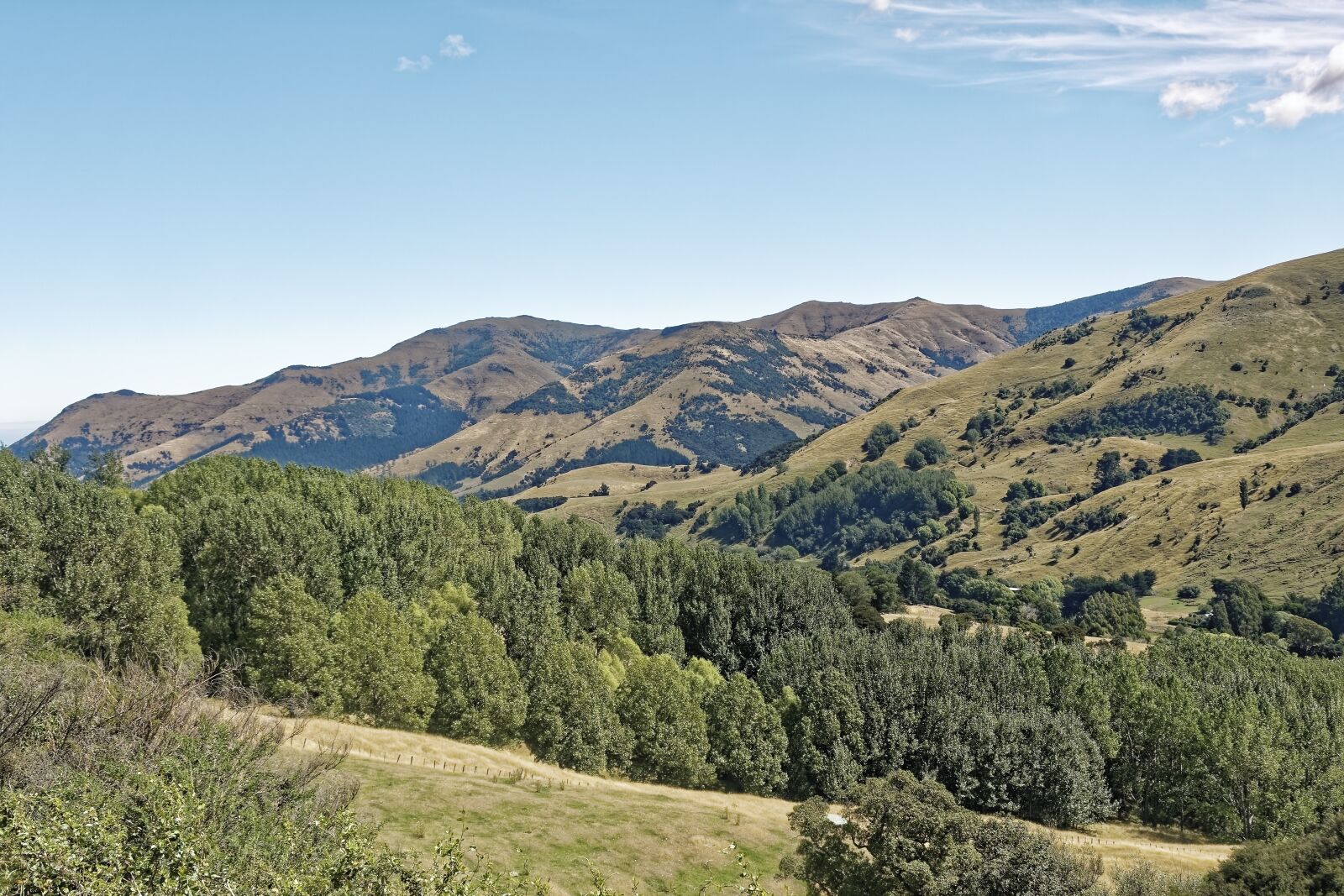 Nikon D500 sample photo. New zealand, banks peninsula photography