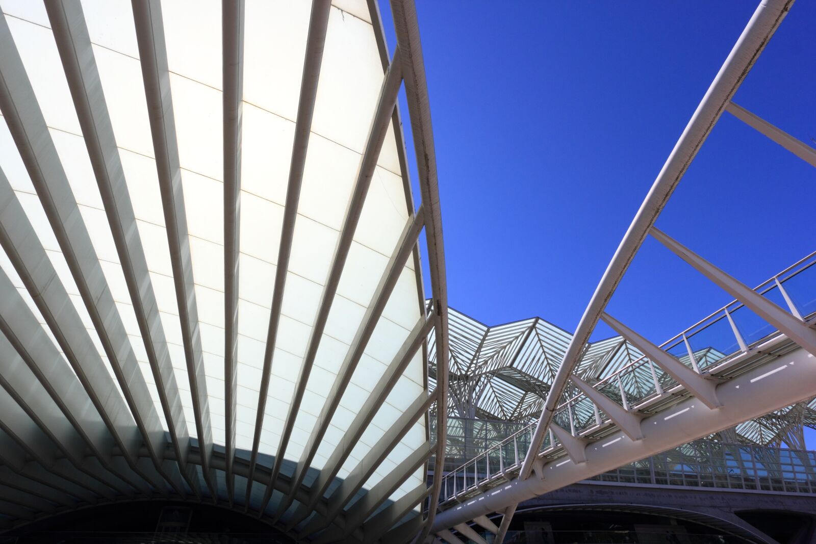 Canon EOS 550D (EOS Rebel T2i / EOS Kiss X4) sample photo. Portugal, lisbon, expo photography