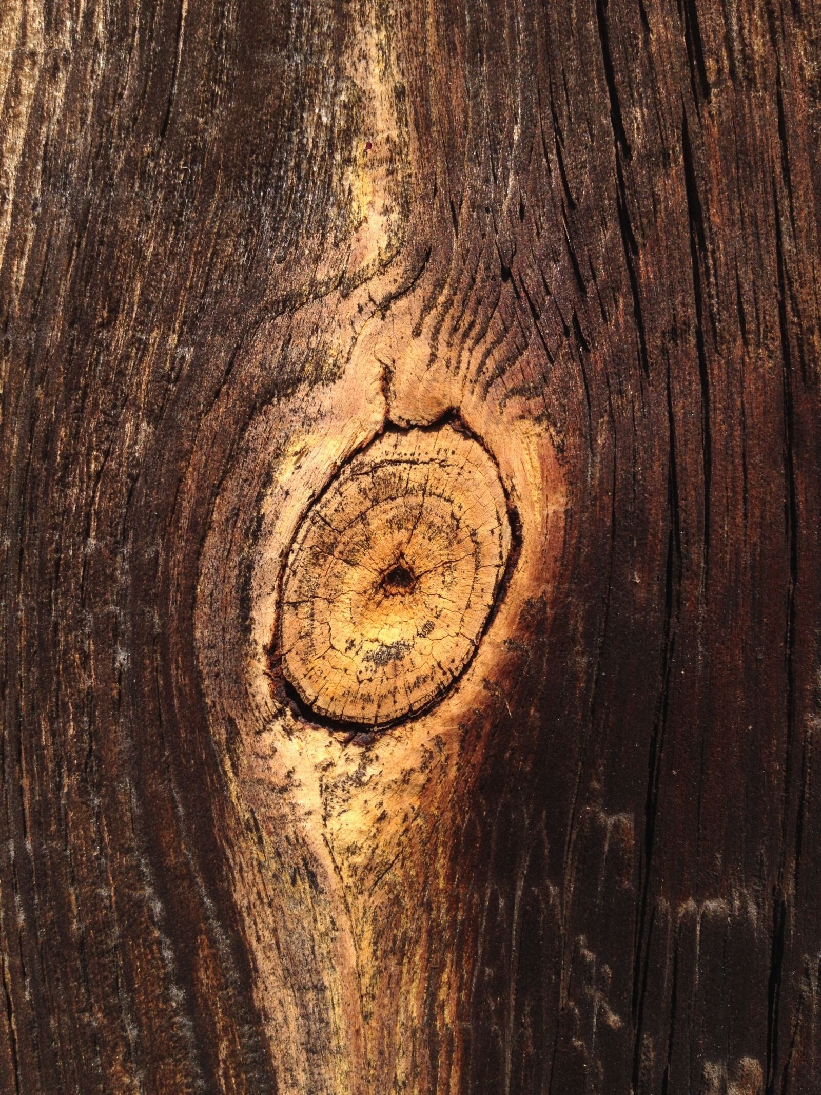 iPhone 4S back camera 4.28mm f/2.4 sample photo. Wood, board, wooden planks photography