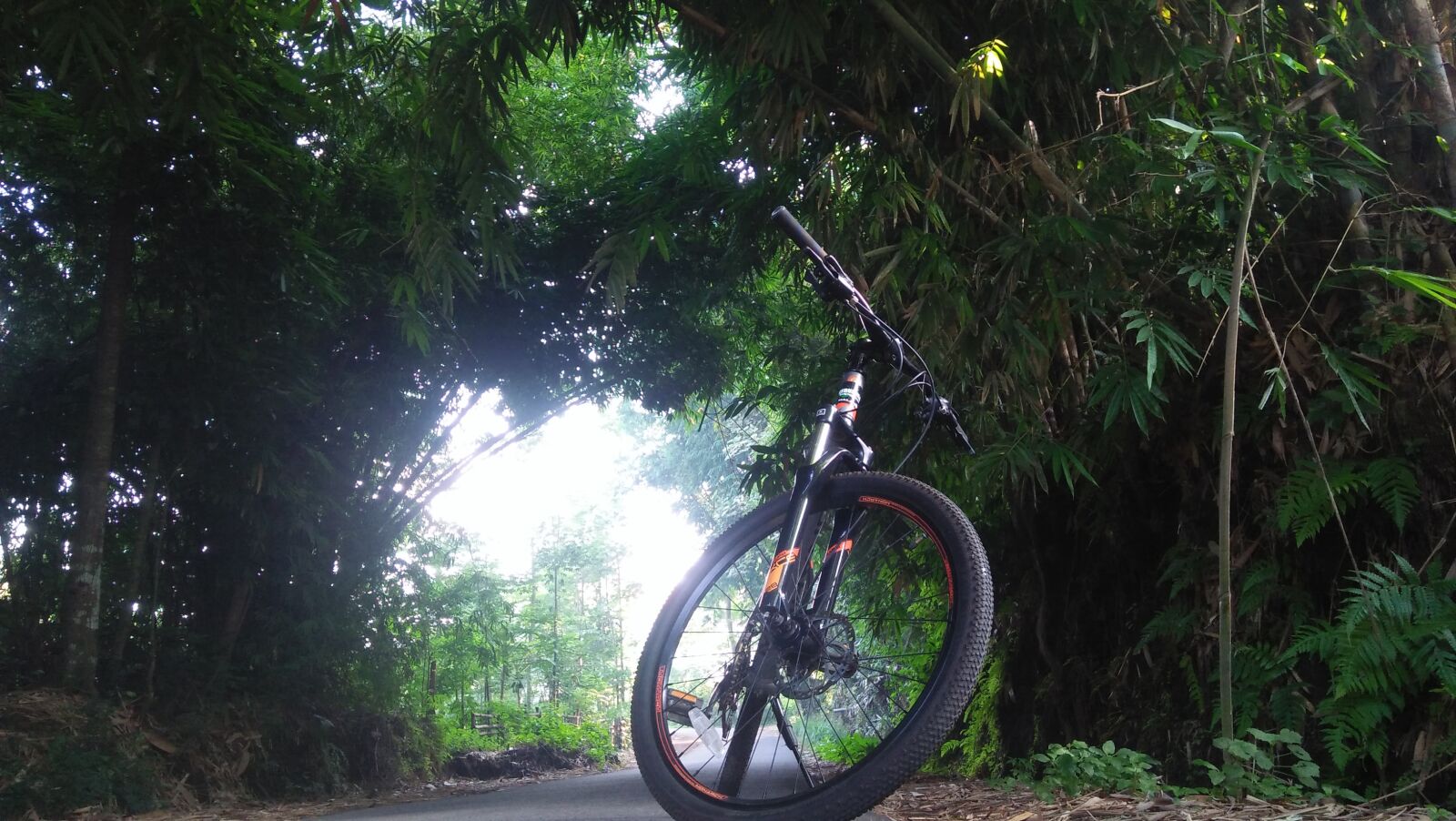 OPPO A37fw-International sample photo. Cycle, nature, human photography