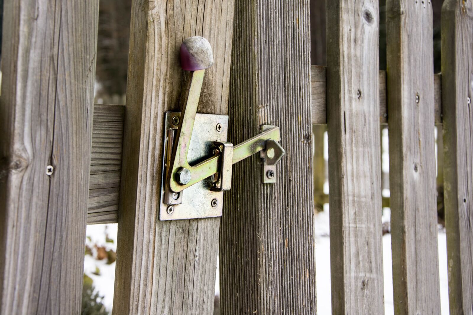 Nikon D7200 sample photo. Door, wood, garden photography