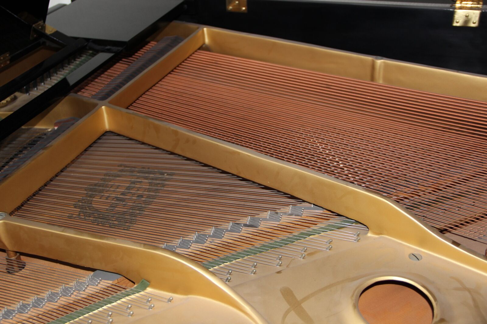 Canon EOS 600D (Rebel EOS T3i / EOS Kiss X5) sample photo. Wing, piano, music photography