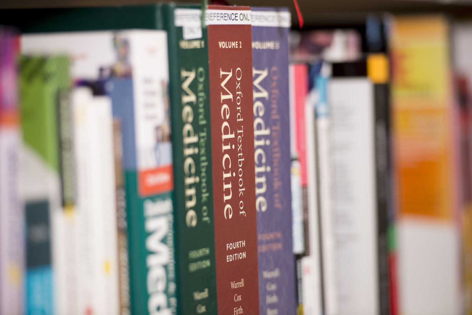 Nikon D610 sample photo. Books, library, bookshelf photography