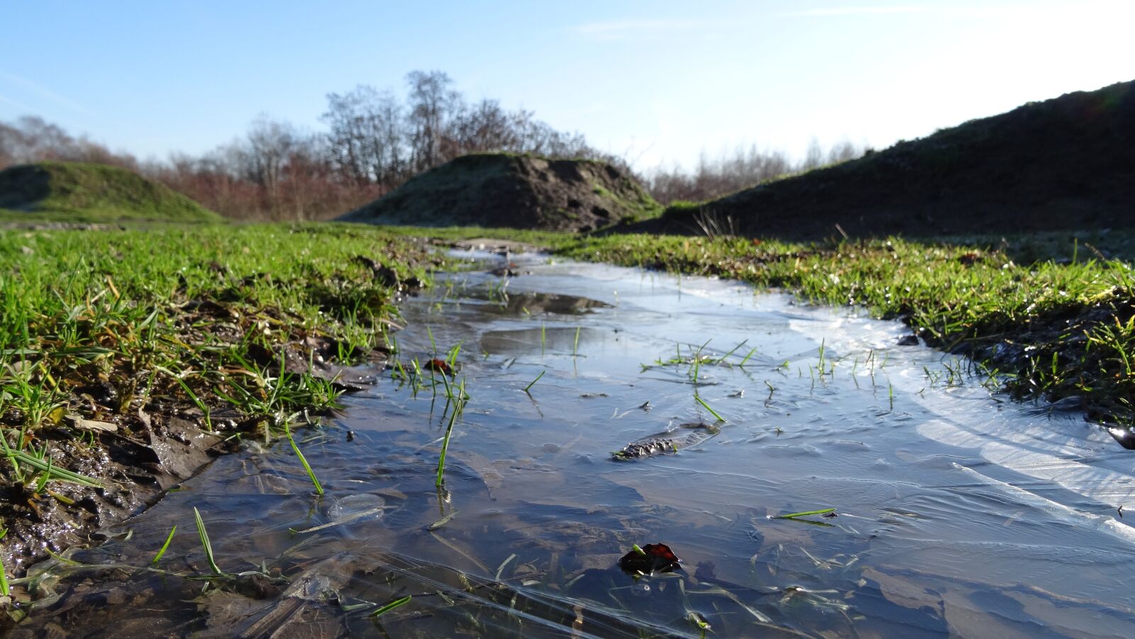 Sony DSC-HX50 sample photo. Ice, meadow, nature photography