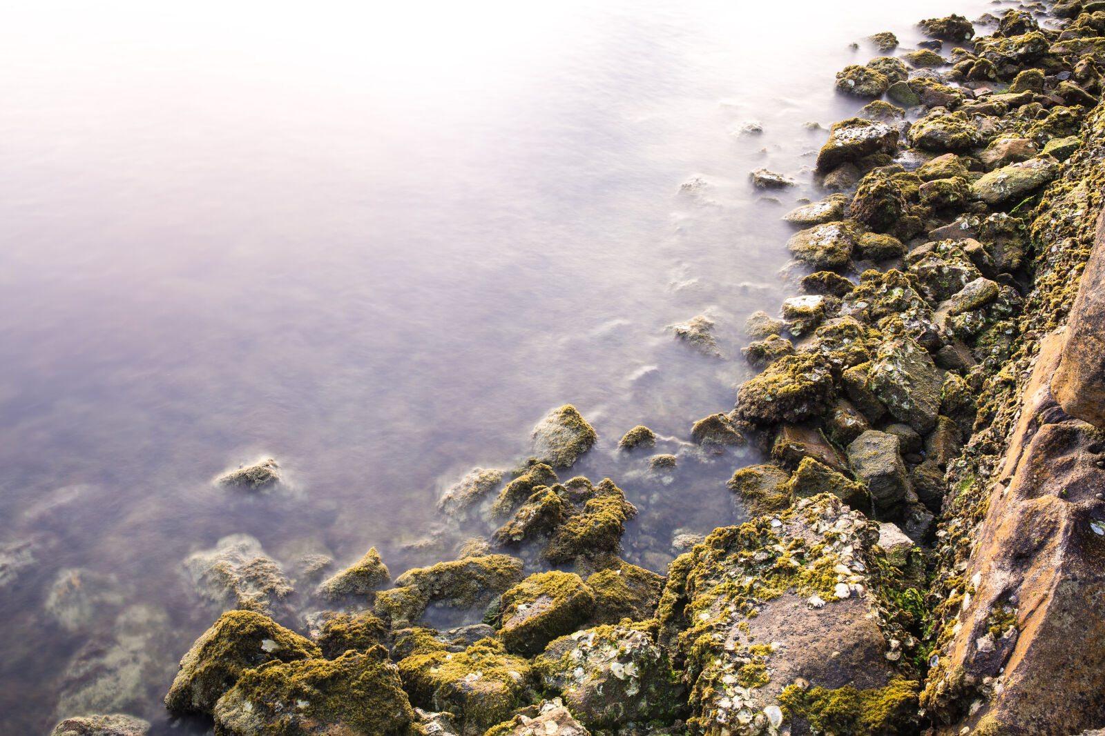 Sigma 35mm F1.4 DG HSM Art sample photo. Algae, australia, green, long photography