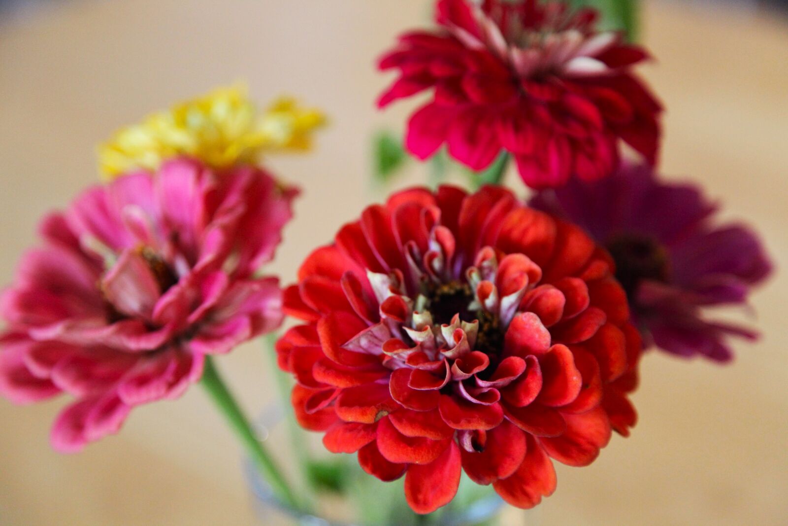 Canon EOS 5D Mark II sample photo