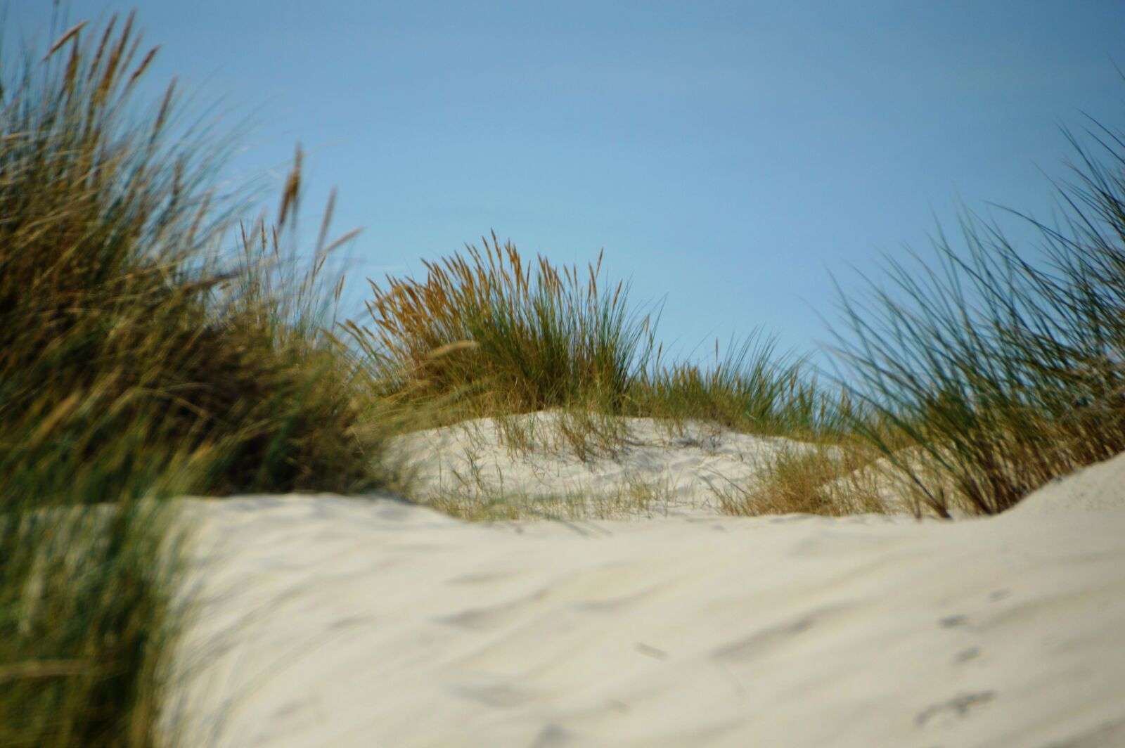 Nikon D3200 sample photo. Sea, beach, hauts de photography