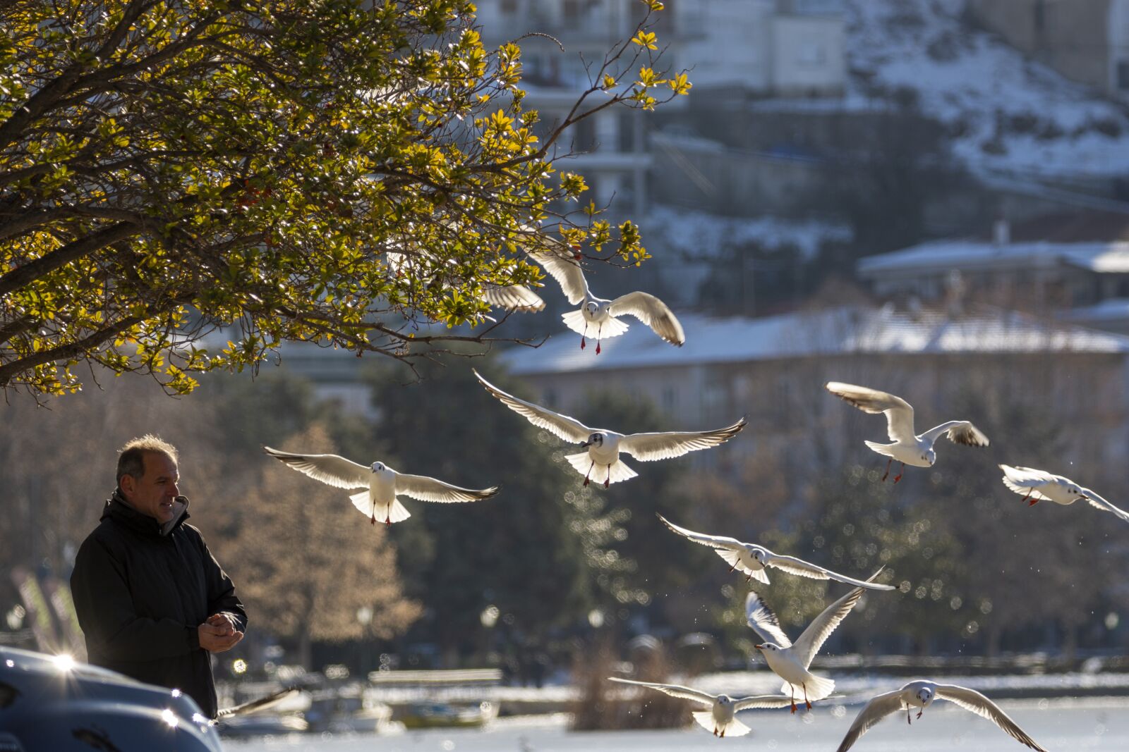 Nikon D7200 sample photo. Snow, winter, lake photography