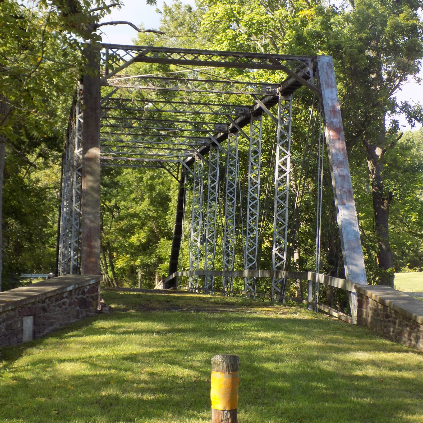 Nikon COOLPIX L330 sample photo. Bridge, moss, minsi trail photography