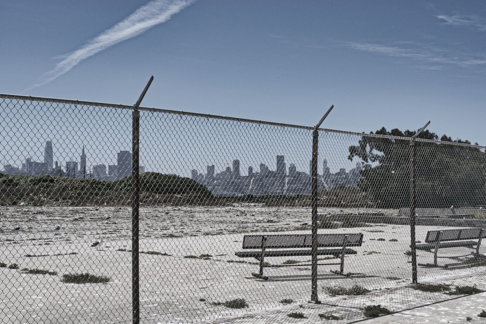 Nikon D7200 sample photo. Fence, city, perspective photography