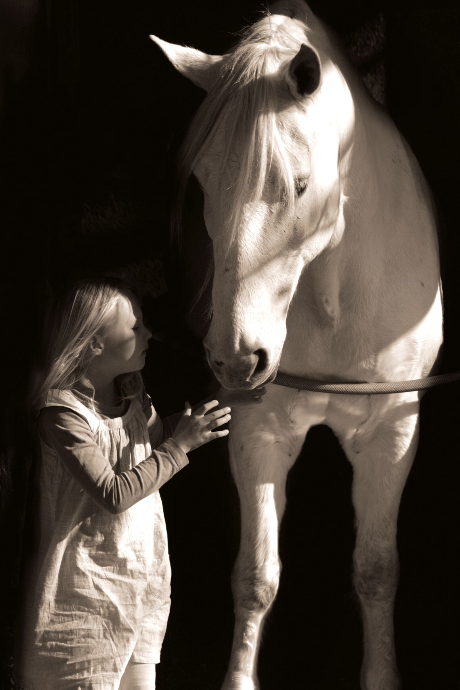 Canon EOS 400D (EOS Digital Rebel XTi / EOS Kiss Digital X) sample photo. Girl, horse, black photography