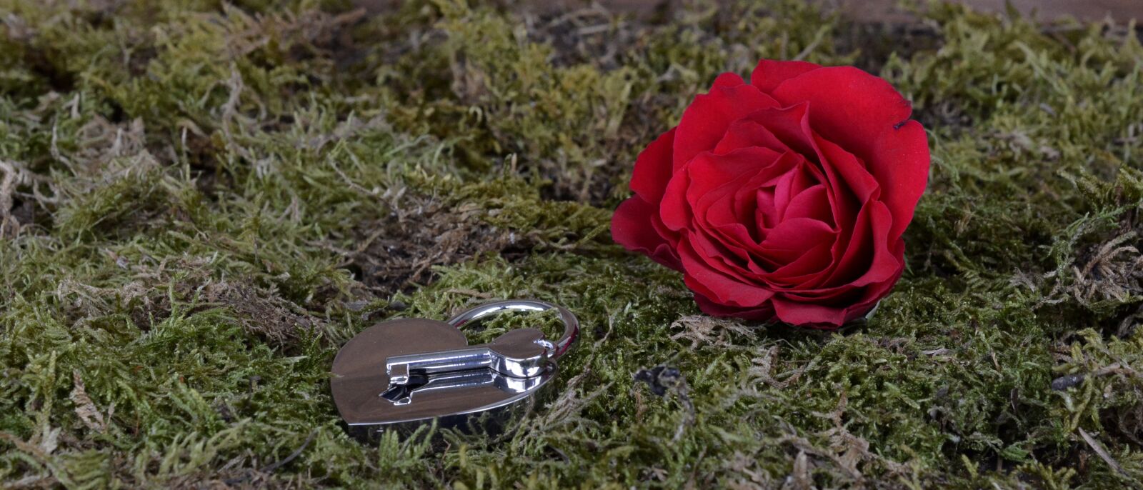 Nikon D7100 sample photo. Rose, heart, castle photography