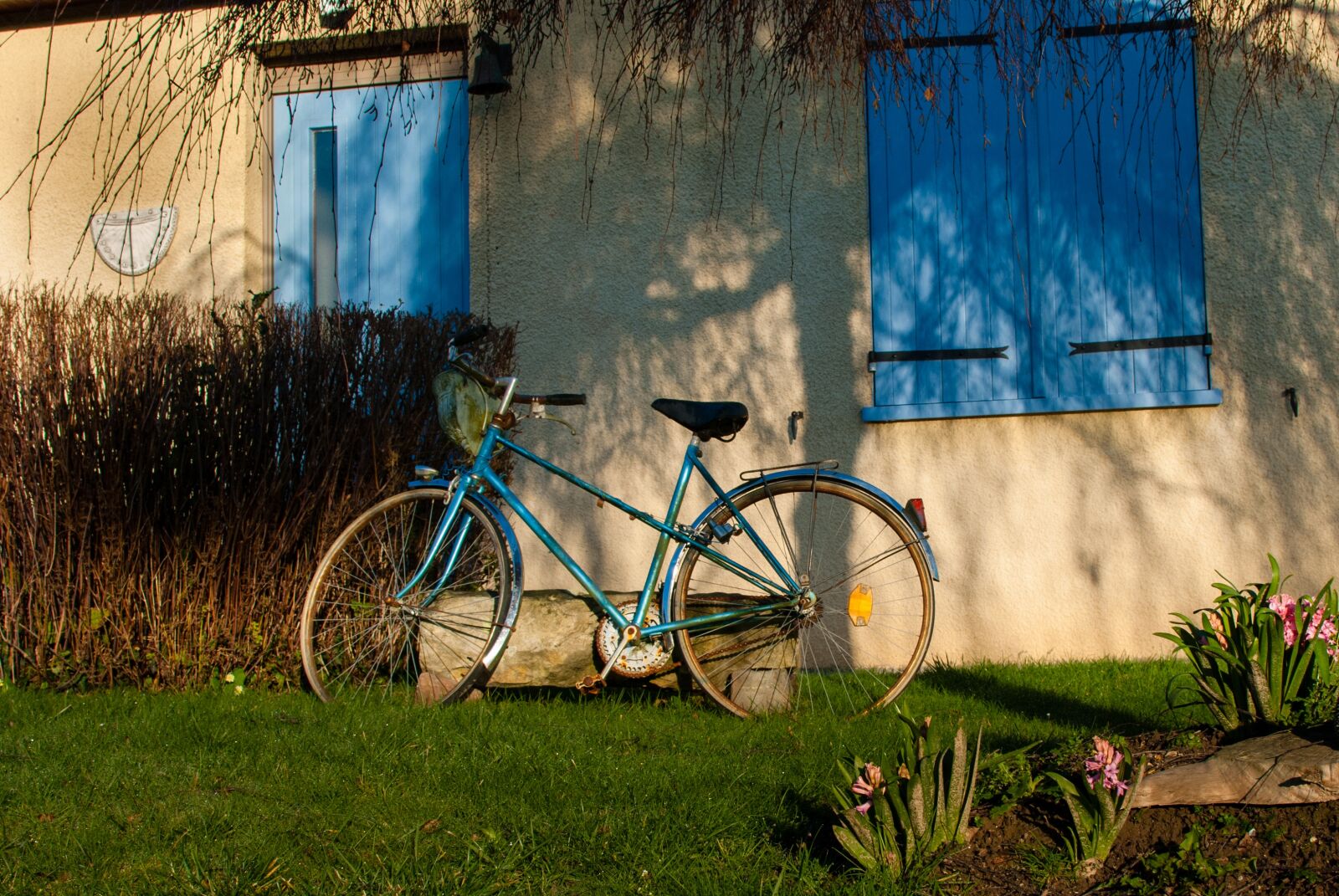 Nikon D80 sample photo. House, pane, bike photography