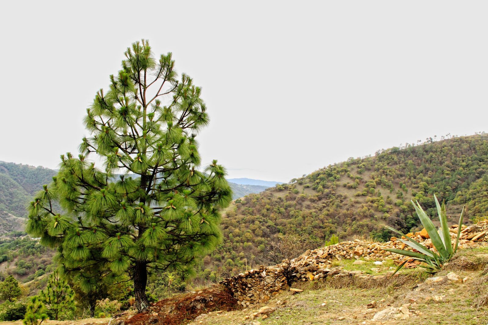 Canon EOS 7D sample photo. Landscape, sky, clouds photography
