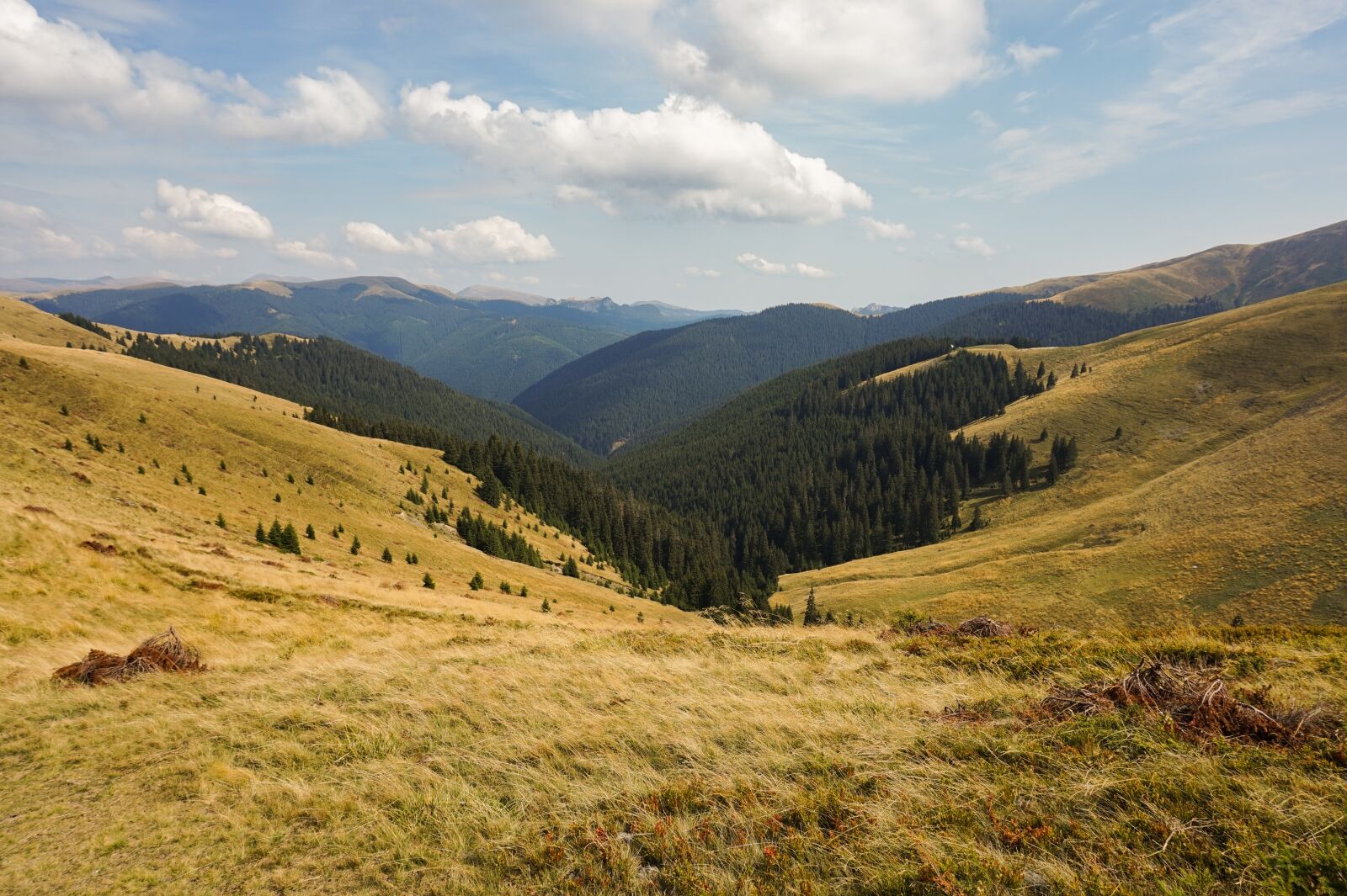 Sony Alpha a5000 (ILCE 5000) sample photo. Mountain, autumn, landscape photography