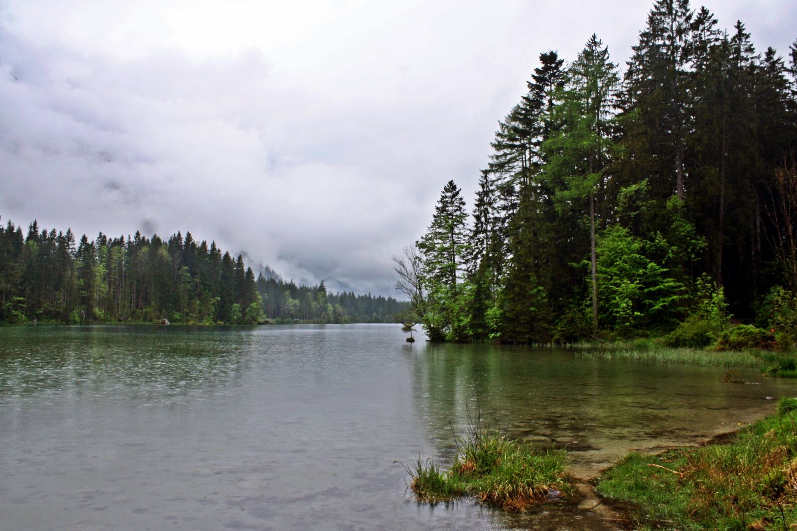 Canon EOS 1000D (EOS Digital Rebel XS / EOS Kiss F) sample photo. Lake, fog, moor photography