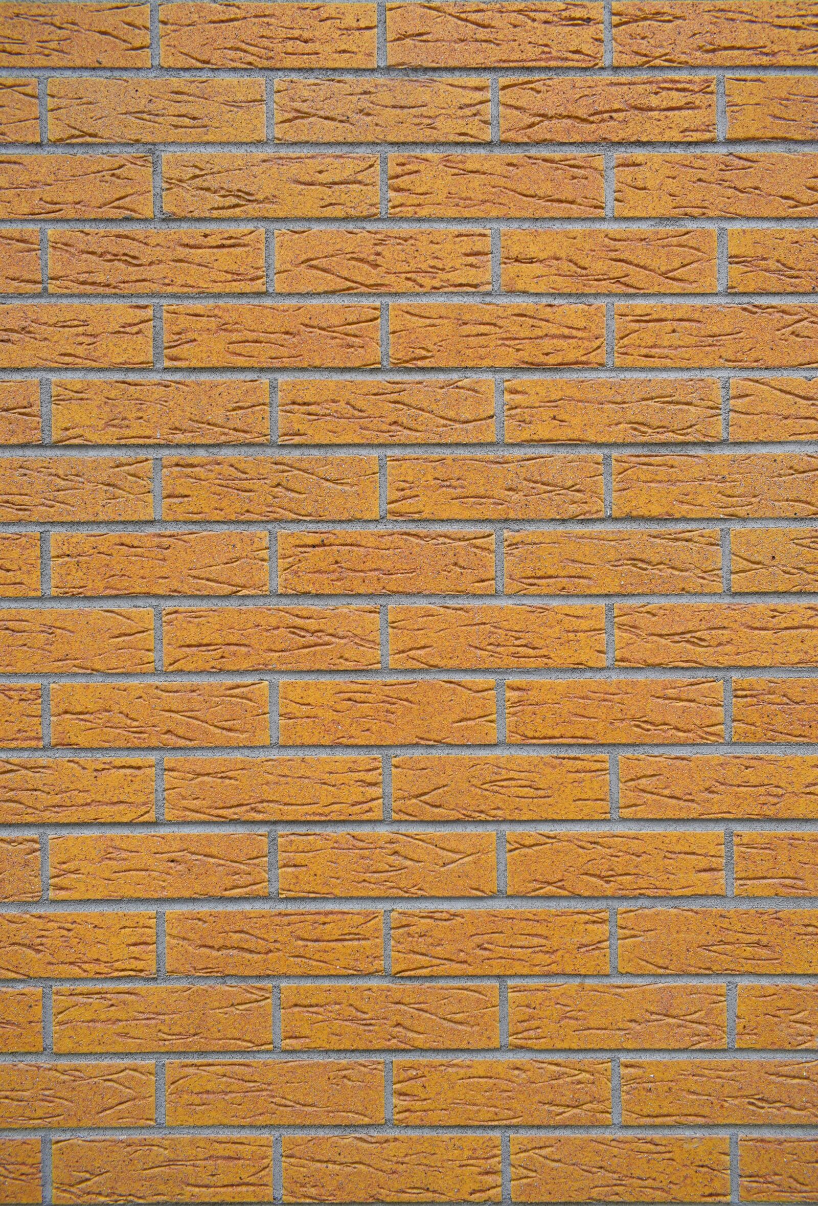 Nikon D3300 sample photo. Street, backdrop, background photography
