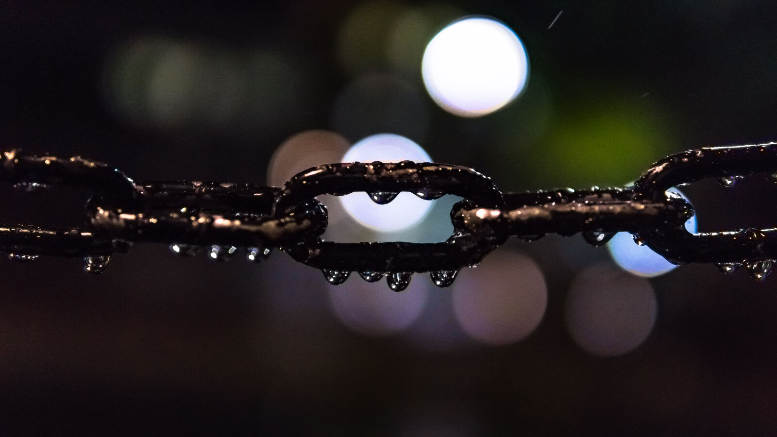 30mm F1.4 DC DN | Contemporary 016 sample photo. Selective, focus, photo, of photography