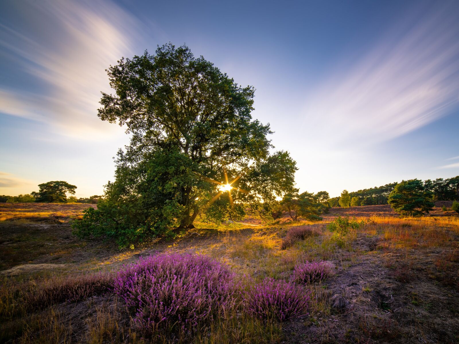 Nikon D600 sample photo. Sunset, evening, sky photography