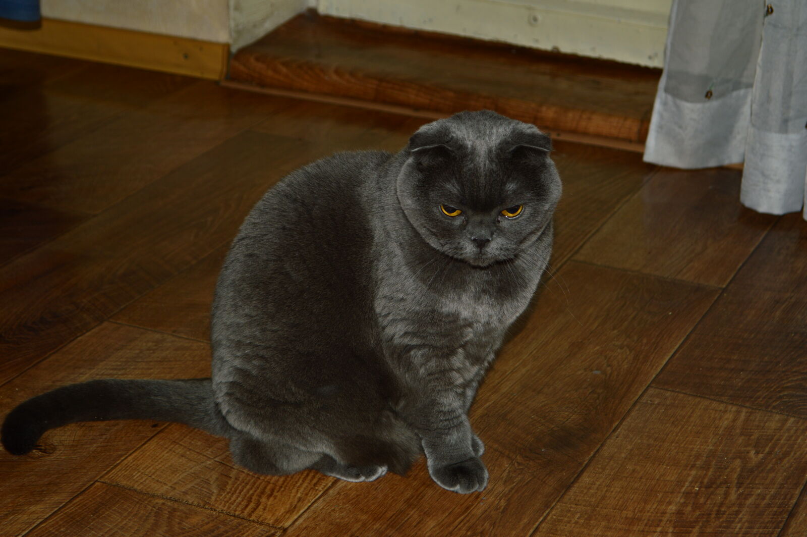 Nikon D3200 sample photo
